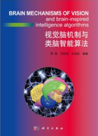 视觉脑机制与类脑智能算法