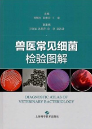 兽医常见细菌检验图解