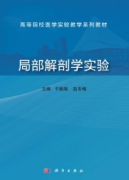 局部解剖学实验