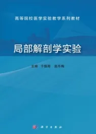 局部解剖学实验