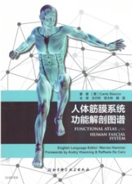 人体筋膜系统功能解剖图谱