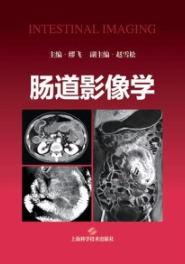 肠道影像学