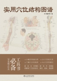 实用穴位结构图谱