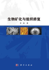 生物矿化与组织修复