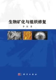 生物矿化与组织修复