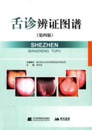 舌诊辨证图谱 第4版