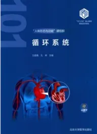 循环系统 基础医学101计划核心教材
