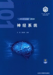 神经系统 基础医学101计划核心教材