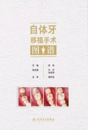 自体牙移植手术图谱