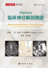 Haines临床神经解剖图谱（第10版）