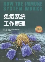 免疫系统工作原理 第6版