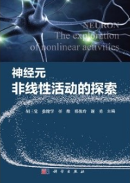 神经元非线性活动的探索