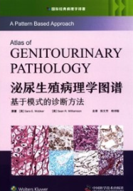 泌尿生殖病理学图谱 基于模式的诊断方法