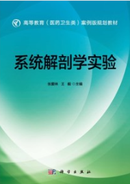 系统解剖学实验