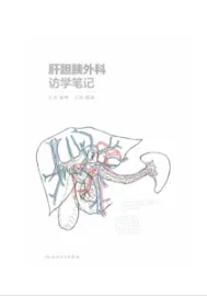 肝胆胰外科访学笔记