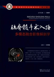 脑脊髓手术入路多模态融合影像解剖学