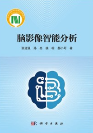 脑影像智能分析