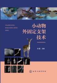 小动物外固定支架技术