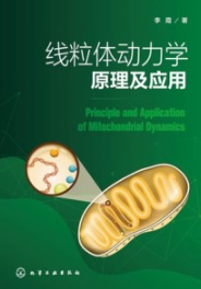 线粒体动力学原理及应用