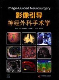 影像引导神经外科手术学