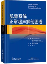 肌骨系统正常超声解剖图谱