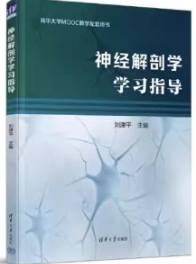 神经解剖学学习指导