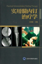 实用髓内钉治疗学