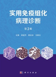 实用免疫组化病理诊断（第2版）