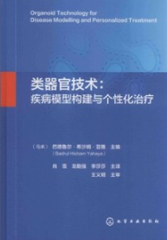 类器官技术 疾病模型构建与个性化治疗