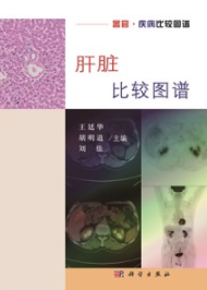 肝脏比较图谱