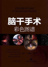 脑干手术彩色图谱