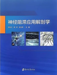 神经阻滞应用解剖学