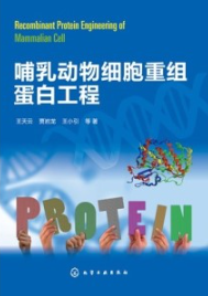 哺乳动物细胞重组蛋白工程