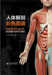 人体解剖彩色图谱