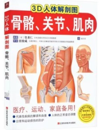3D人体解剖图 骨骼、关节、肌肉