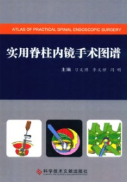 实用脊柱内镜手术图谱