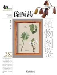 傣医药植物图鉴