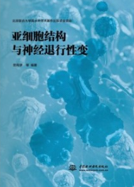 亚细胞结构与神经退行性变