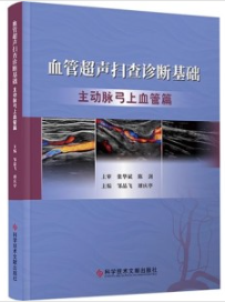 血管超声扫查诊断基础 主动脉弓上血管篇