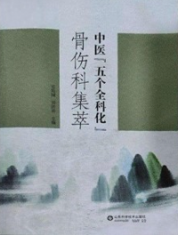 中医“五个全科化”骨伤科集萃 上下卷