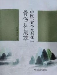 中医“五个全科化”骨伤科集萃 上下卷
