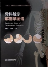 骨科触诊解剖学图谱