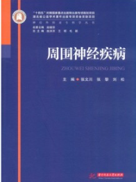 神经外科亚专科学丛书 周围神经疾病