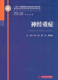 神经外科亚专科学丛书 神经重症
