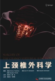 上颈椎外科学