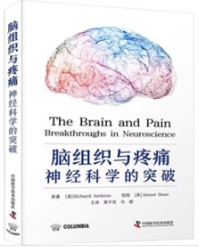 脑组织与疼痛 神经科学的突破