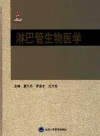 淋巴管生物医学