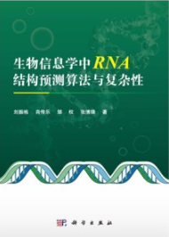 生物信息学中RNA结构预测算法与复杂性