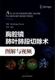 胸腔镜肺叶肺段切除术图解与视频
