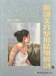 面部美容整形精细解剖
